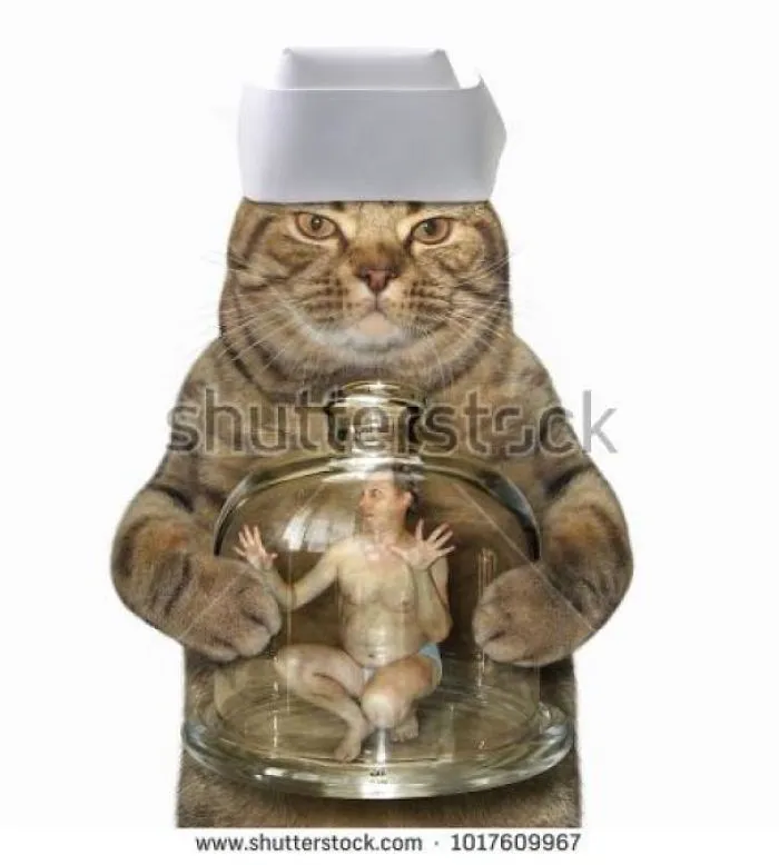 Cat in a medical cap holding a small man under glass
