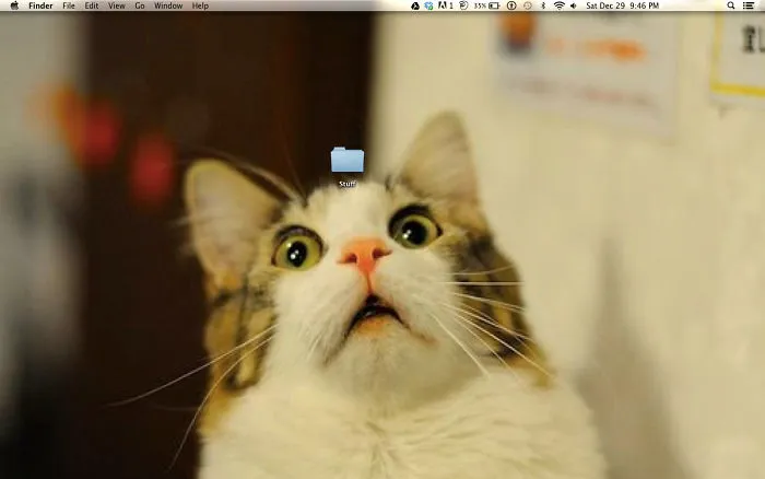 Mi fondo de pantalla