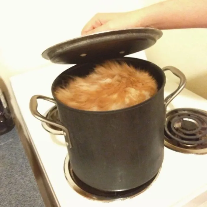 What's For Dinner?
