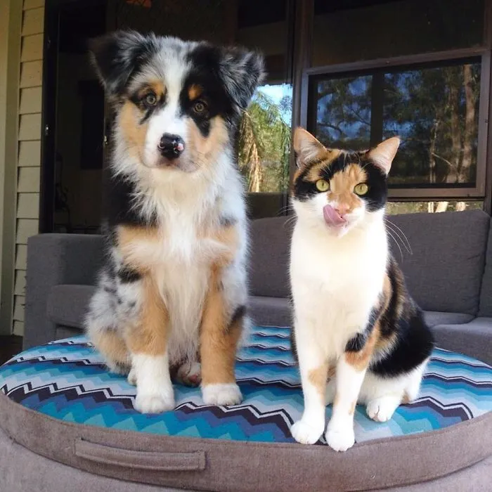 Brother From Another Mother