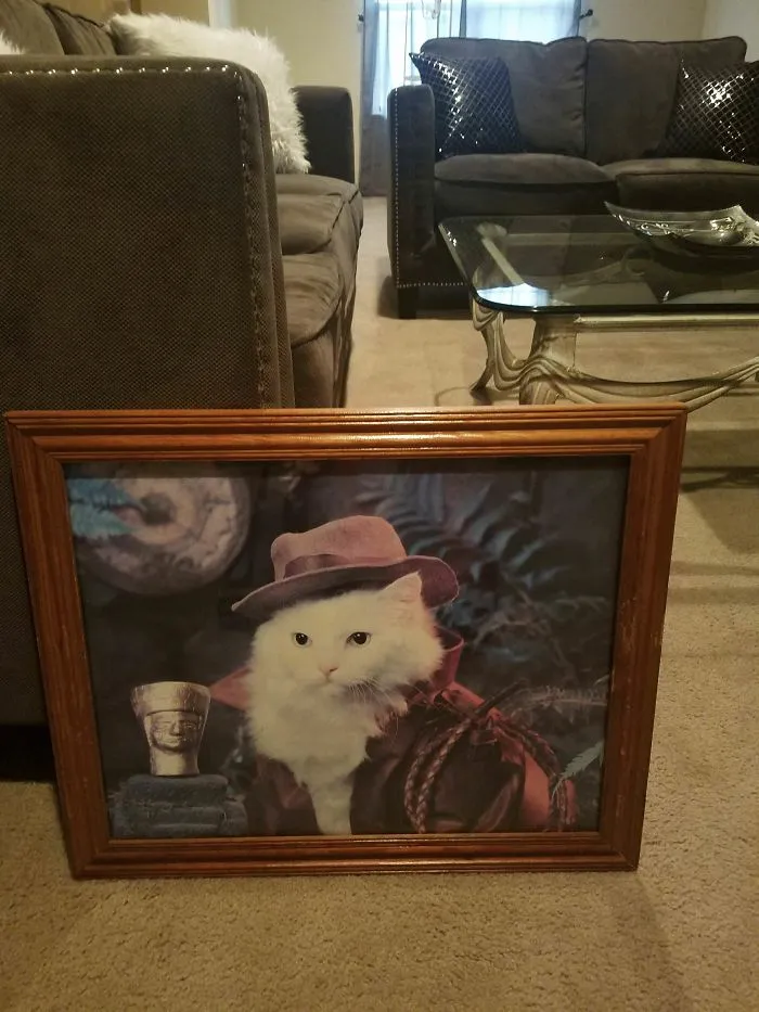Decorando nuestra nueva casa, mi novio me dijo que quería incluir una cosa. Este es Kittiana Jones