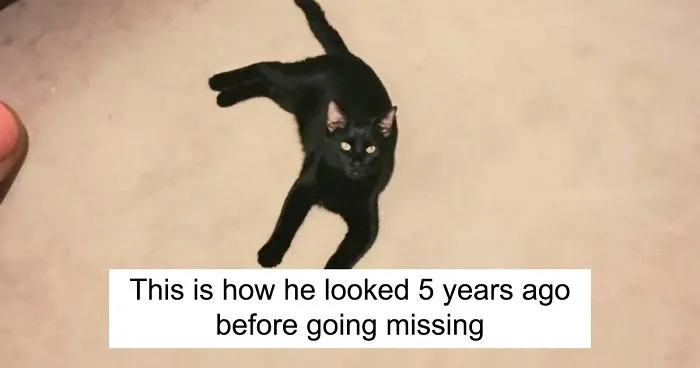 The Way This Cat Returns Home After Going Missing For 5 Years Is More Unbelievable Than This Fact Itself
