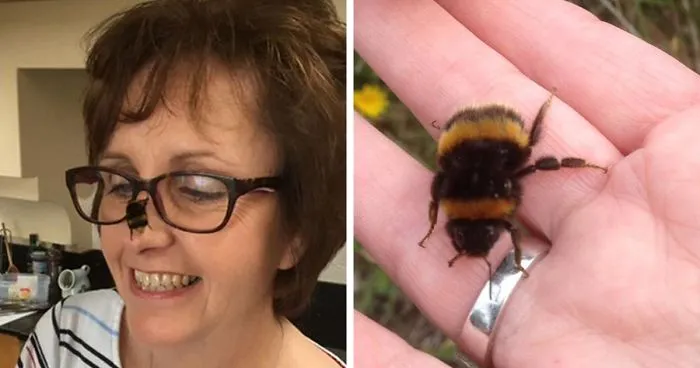 Woman Saves Wingless Bumblebee And Their Friendship Creates Buzz On The Internet
