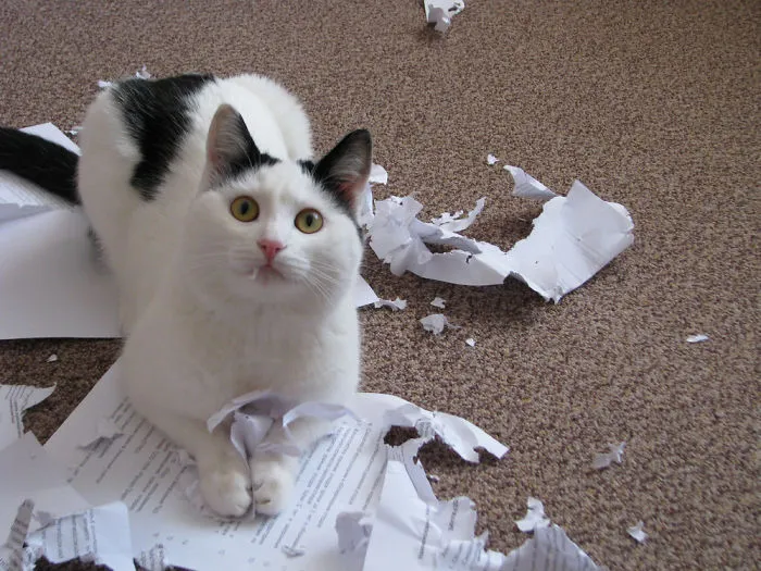 Your Homework? Never Heard About It
