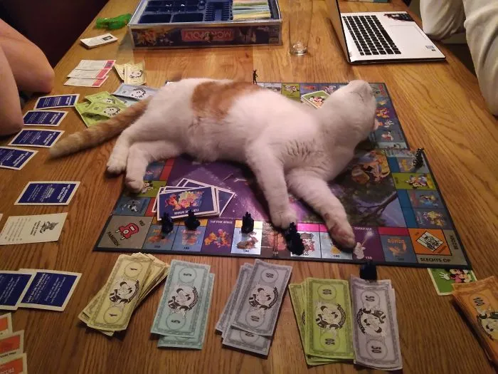 ¿Estáis jugando? Pues yo estoy cansado