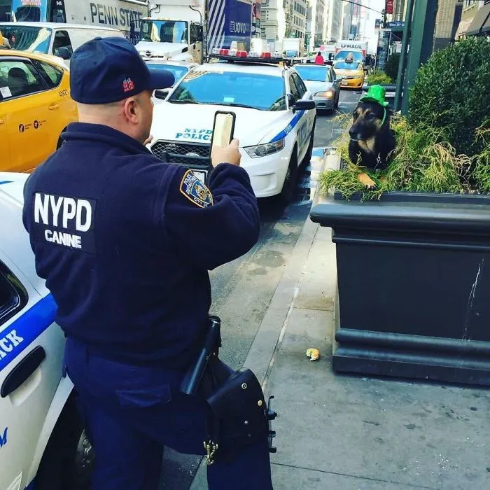 Policía y su perro disfrutando de San Patricio