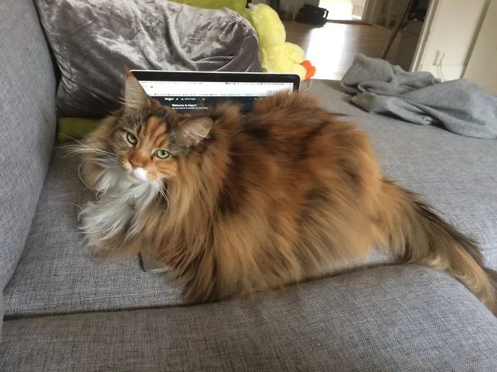 The Computer Is Too Small!