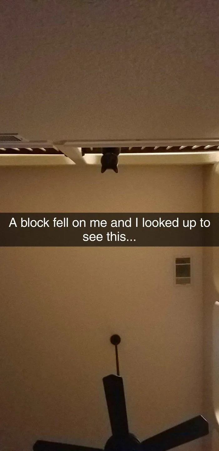 The Murder Plot Thickens...
