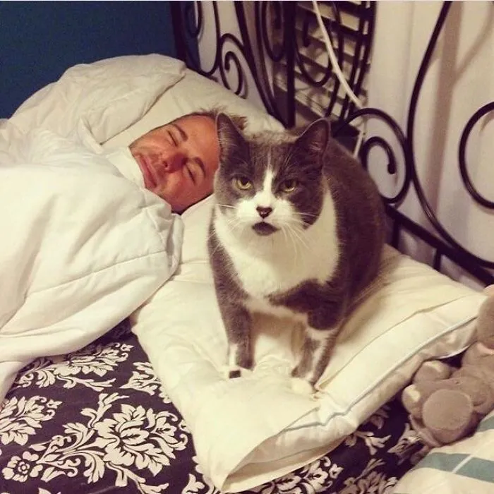 Your Pillow And Your Boyfriend Are Mine