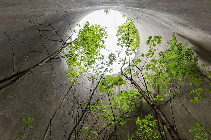 I Took Photos Of Nature Taking Back Abandoned Places All Over The World (30 Pics)