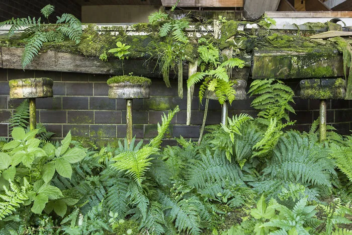 I Took Photos Of Nature Taking Back Abandoned Places All Over The World (30 Pics)