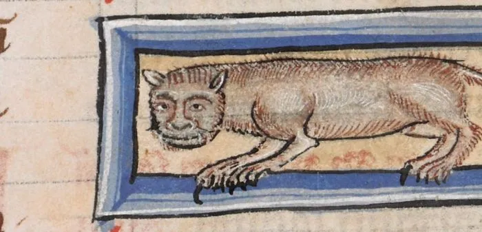 The Cat You Cannot Unsee