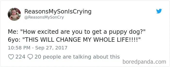 239 Times Parents Of 6-Year-Olds Took To Twitter To Share What Their Little Devil Did, And It's Hilarious