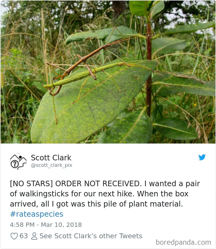Zoos Are Posting Hilarious Amazon-Like Reviews Of Their Animals, And We Can’t Get Enough
