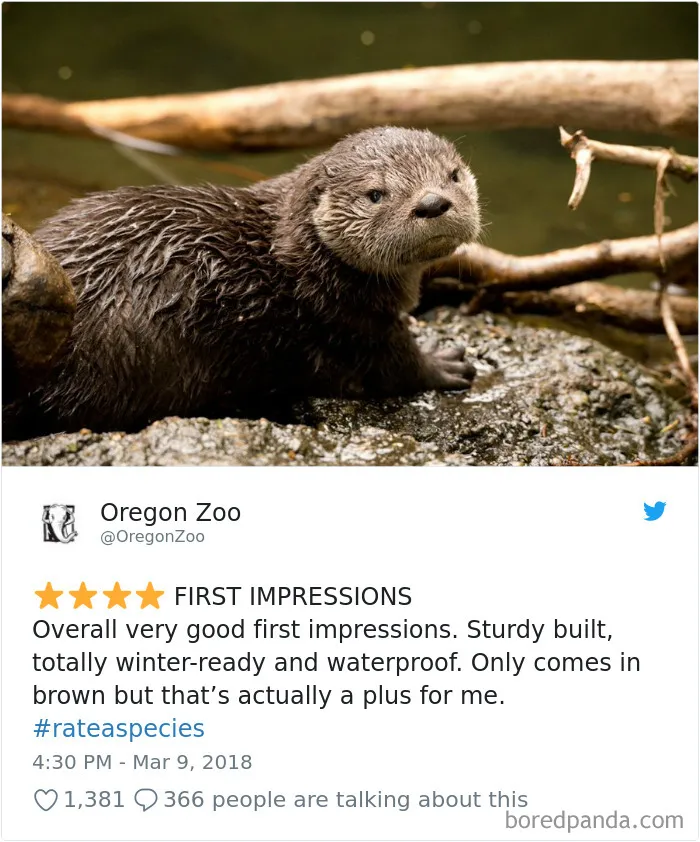 Zoos Are Posting Hilarious Amazon-Like Reviews Of Their Animals, And We Can’t Get Enough