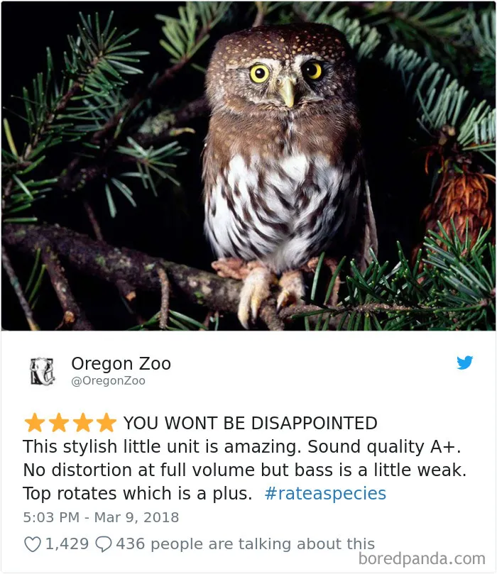 Zoos Are Posting Hilarious Amazon-Like Reviews Of Their Animals, And We Can’t Get Enough