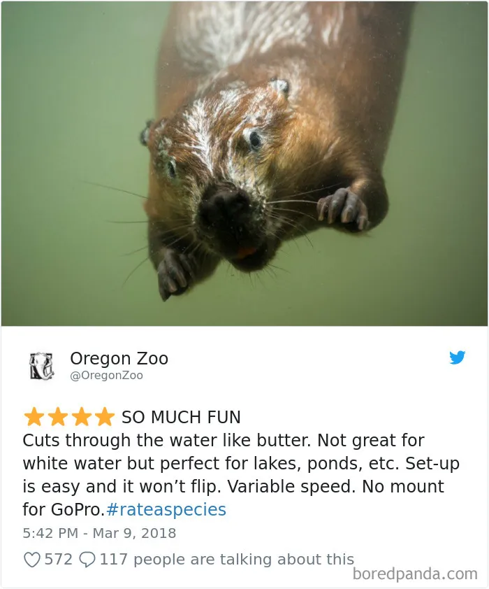 Zoos Are Posting Hilarious Amazon-Like Reviews Of Their Animals, And We Can’t Get Enough