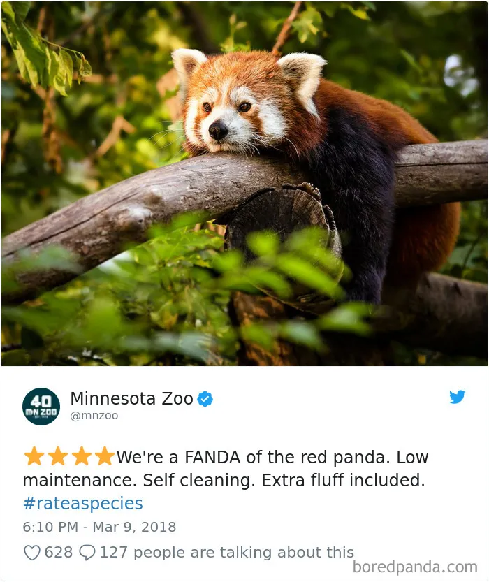 Zoos Are Posting Hilarious Amazon-Like Reviews Of Their Animals, And We Can’t Get Enough