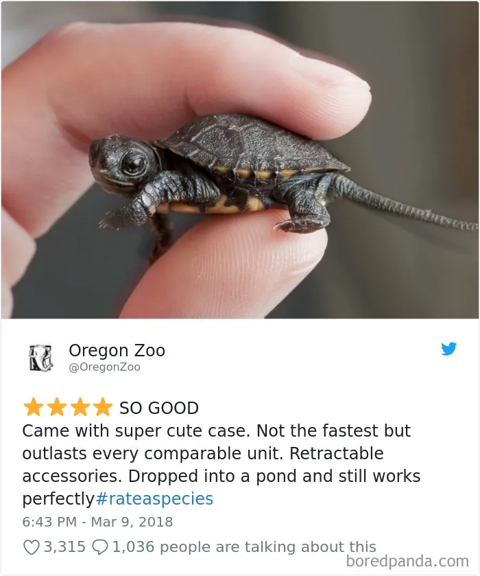 Zoos Are Posting Hilarious Amazon-Like Reviews Of Their Animals, And We Can’t Get Enough