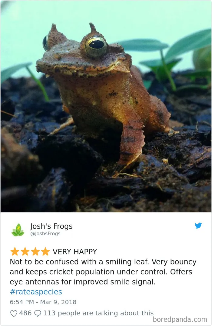 Zoos Are Posting Hilarious Amazon-Like Reviews Of Their Animals, And We Can’t Get Enough