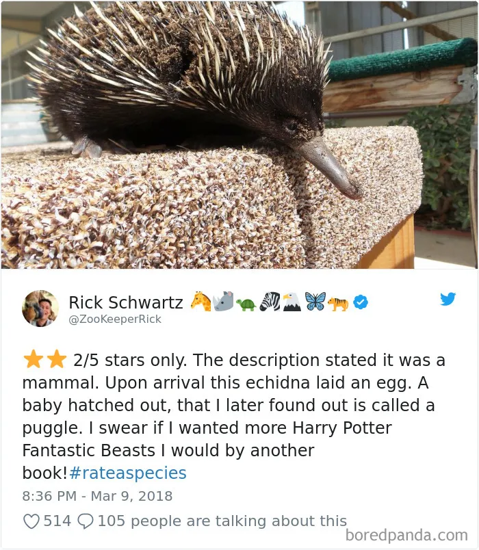 Zoos Are Posting Hilarious Amazon-Like Reviews Of Their Animals, And We Can’t Get Enough