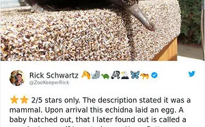 Zoos Are Posting Hilarious Amazon-Like Reviews Of Their Animals, And We Can’t Get Enough