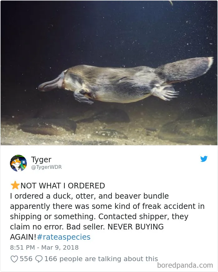 Zoos Are Posting Hilarious Amazon-Like Reviews Of Their Animals, And We Can’t Get Enough