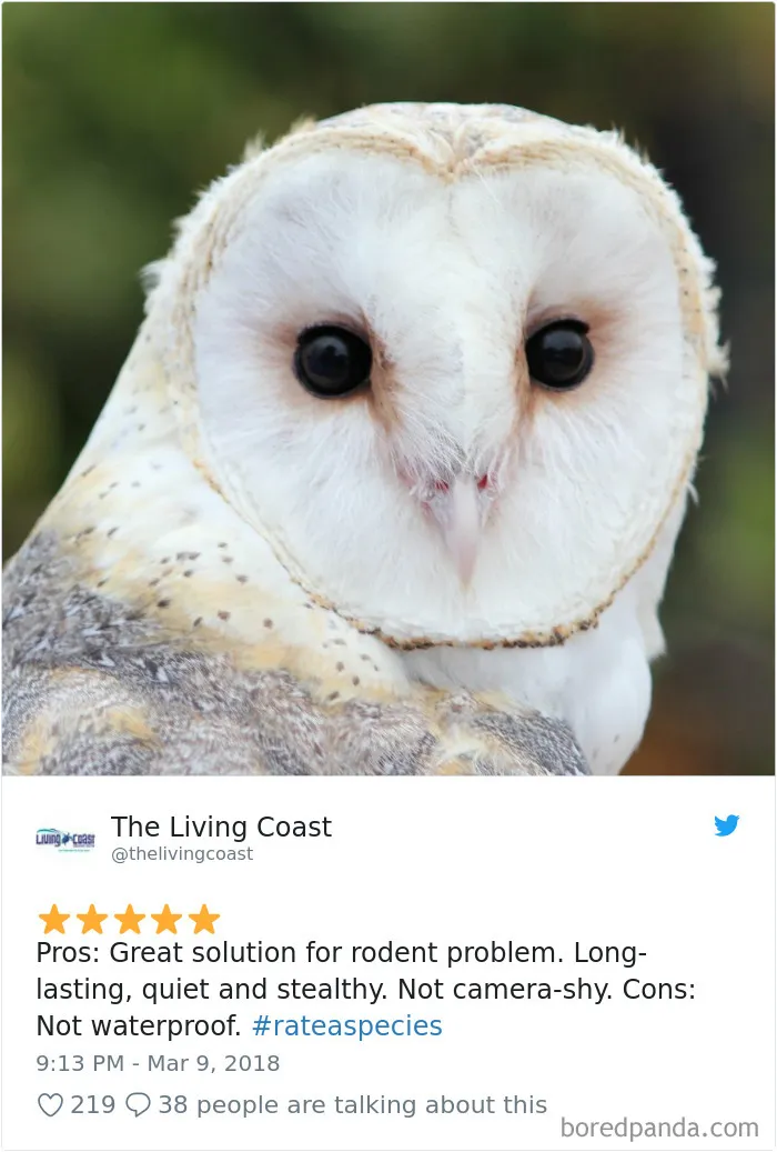 Zoos Are Posting Hilarious Amazon-Like Reviews Of Their Animals, And We Can’t Get Enough