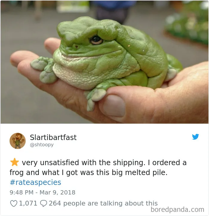 Zoos Are Posting Hilarious Amazon-Like Reviews Of Their Animals, And We Can’t Get Enough
