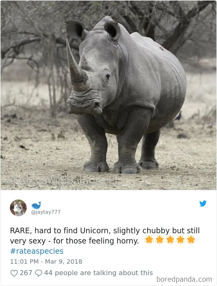 Zoos Are Posting Hilarious Amazon-Like Reviews Of Their Animals, And We Can’t Get Enough