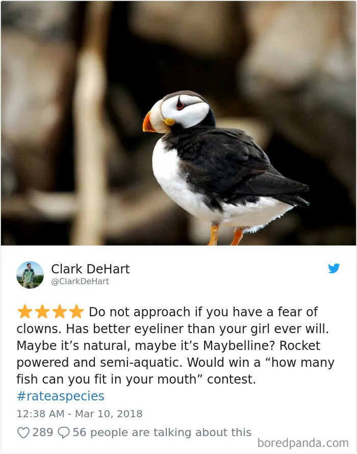 Zoos Are Posting Hilarious Amazon-Like Reviews Of Their Animals, And We Can’t Get Enough