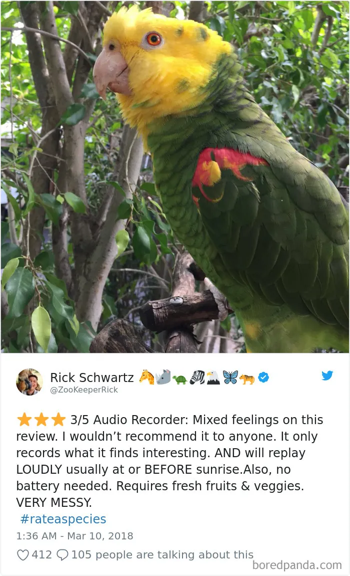 Zoos Are Posting Hilarious Amazon-Like Reviews Of Their Animals, And We Can’t Get Enough