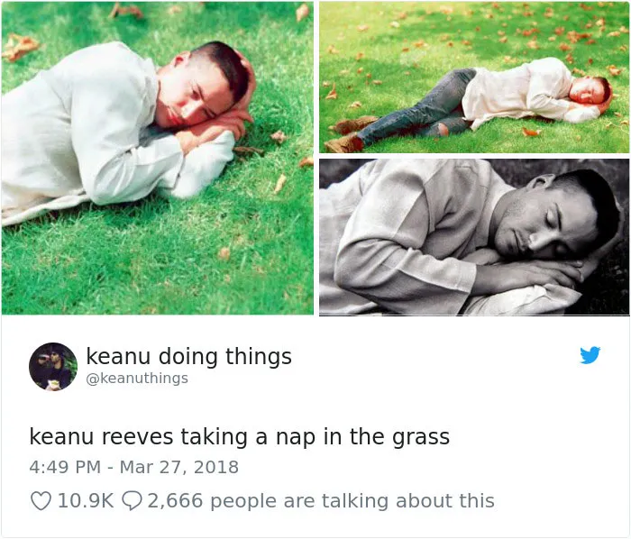 Keanu echándose una siesta en el césped