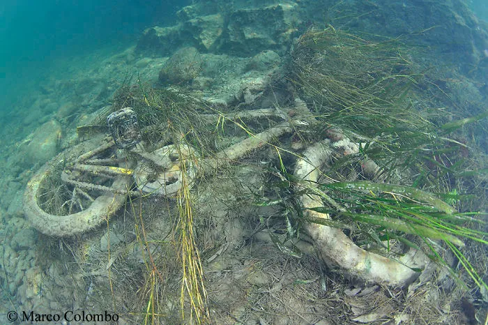 Pollution Is One Of The Worst Problems For Rivers And Lakes