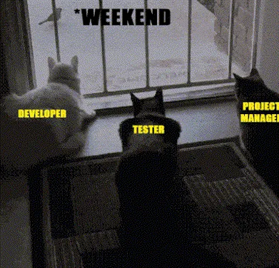 When You Test The Program