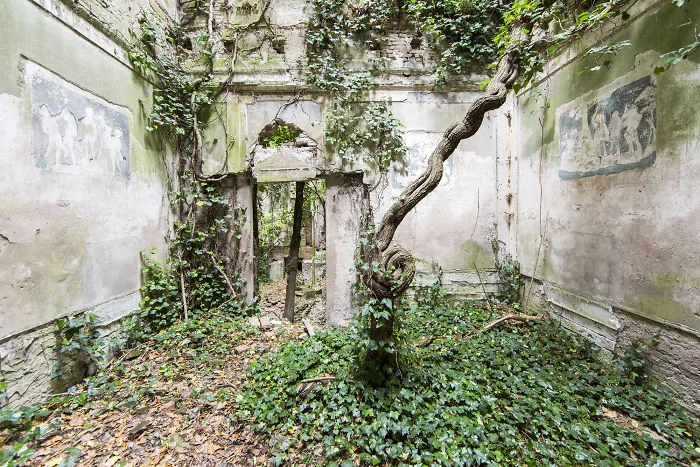 I Took Photos Of Nature Taking Back Abandoned Places All Over The World (30 Pics)