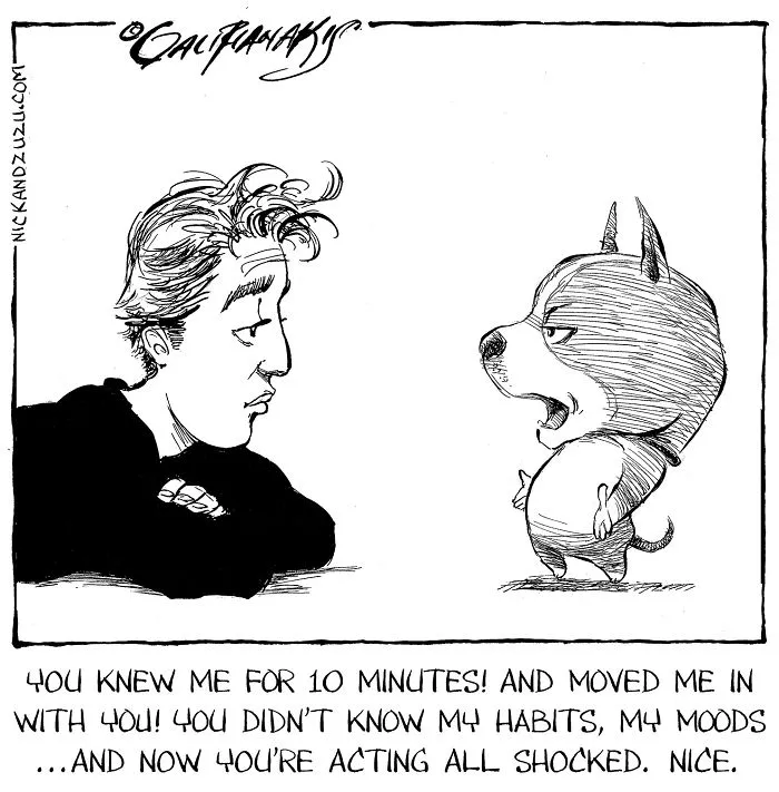 20 Uncomfortably True Cartoons About You And Dating