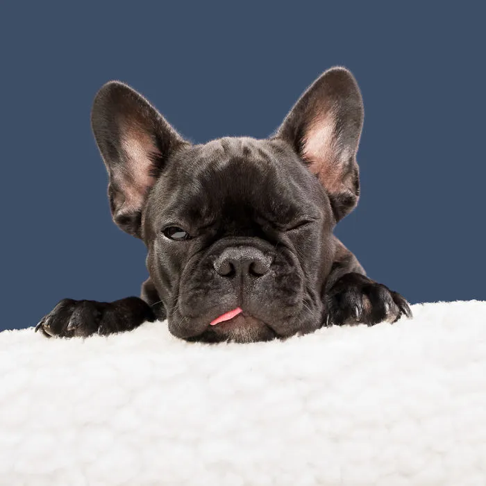 Exhausted Carlos