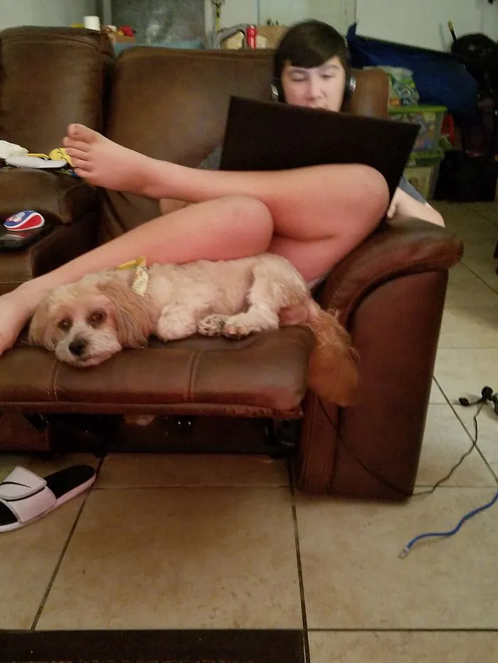 Working On Homework Together.