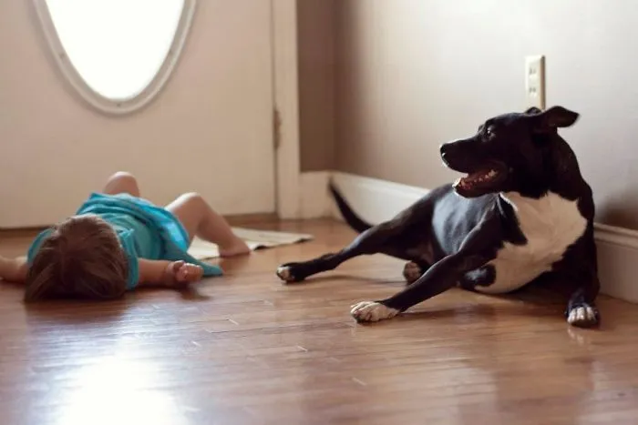 Zoe & Tokie