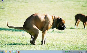 51 Hilariously Genius Desktop Wallpapers That Will Make You Look Twice