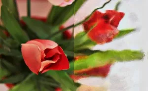 I Shot Some Flowers And Then Painted Half Of The Photo To Show The Difference Between Photography And Painting