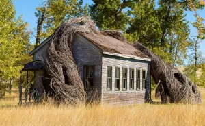 "Daydreams" Schoolhouse