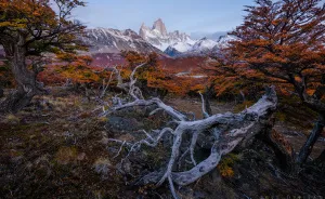 The End Of The Earth Is Full Of Colors