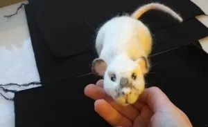 I Make Needle Felted Animals, And Have Improved Over Time