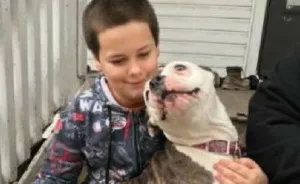Thief Makes A Huge Mistake Breaking Into Home Where 9-Year-Old Boy Lives