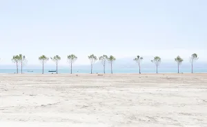 Subjective Landscapes