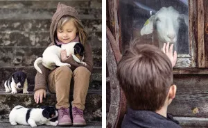 The Friendship Between Children And Animals