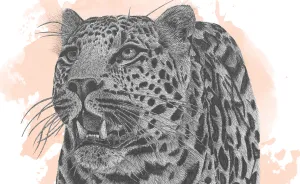Immortalizing The Most Mortal Of Animals: How I Use My Pen To Keep Species Alive