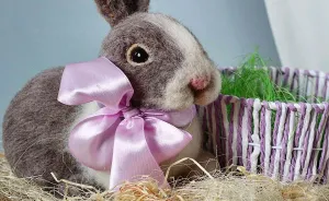 12 Handmade Easter Bunnies To Bring You Festive Mood